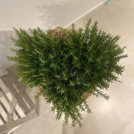 Viesterooms Екстер'єр фото